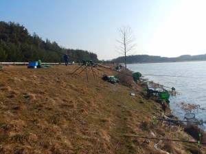DSCN1300 (1)